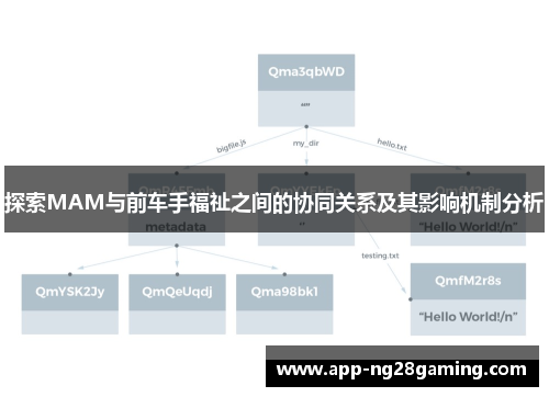 探索MAM与前车手福祉之间的协同关系及其影响机制分析