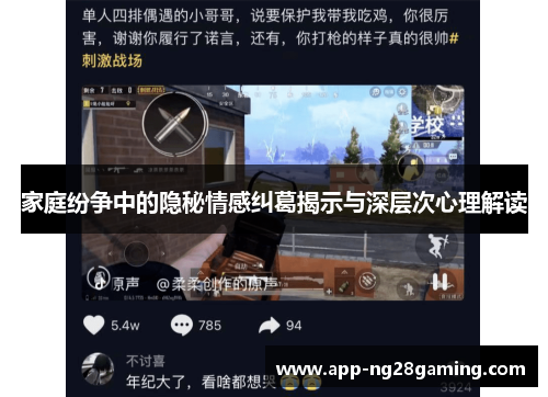 家庭纷争中的隐秘情感纠葛揭示与深层次心理解读