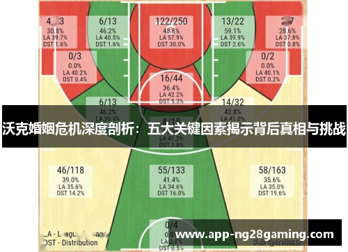 沃克婚姻危机深度剖析：五大关键因素揭示背后真相与挑战