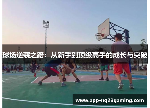 球场逆袭之路：从新手到顶级高手的成长与突破