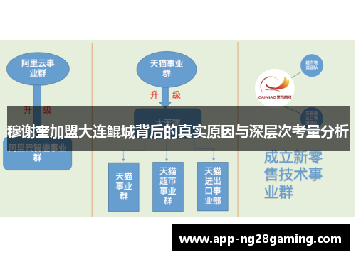 穆谢奎加盟大连鲲城背后的真实原因与深层次考量分析