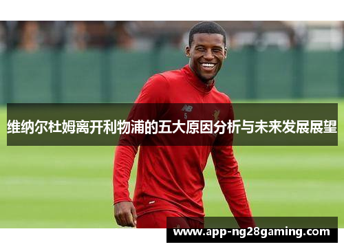 维纳尔杜姆离开利物浦的五大原因分析与未来发展展望