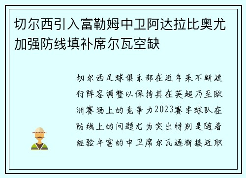 切尔西引入富勒姆中卫阿达拉比奥尤加强防线填补席尔瓦空缺
